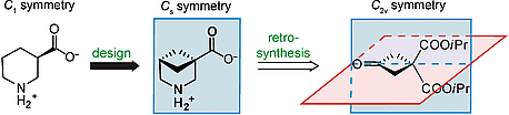 Gram-Scale Synthesis of 3,5-Methanonipecotic Acid, a Nonchiral Bicyclic β-Amino Acid
