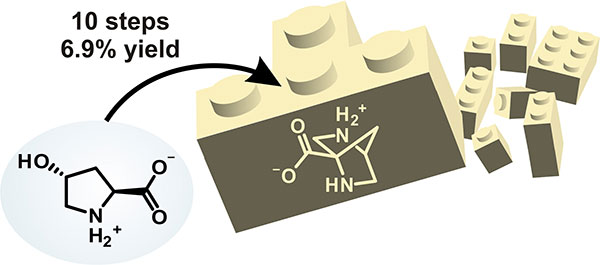Synthesis of a 2,5-Diazabicyclo[2.2.1]heptane-Derived α,β-Diamino Acid