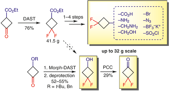 Multigram Synthesis of C4/C5 3,3-Difluorocyclobutyl-Substituted Building Blocks