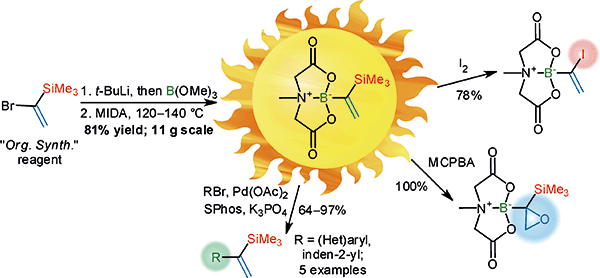 1-(Trimethylsilyl)vinyl MIDA Boronate: A Trifunctional C2 Building Block