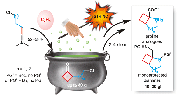 Synthesis of 2-Azabicyclo[n.2.0]alkane-Derived Building Blocks