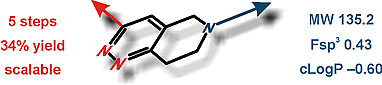 5,6,7,8-Tetrahydropyrido[4,3-c]pyridazine: A Lead-Oriented Scaffold with Two Diversity Points