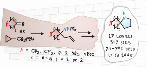 Scalable Synthesis of Biologically Relevant Spirocyclic Pyrrolidines