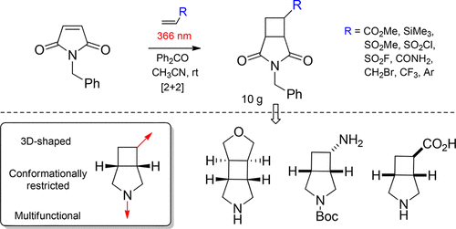 [2+2]-Photocycloaddition of N-Benzylmaleimide to Alkenes As an Approach to Functional 3-Azabicyclo[3.2.0]heptanes