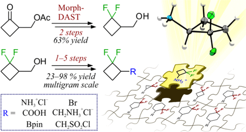 Last of the gem-Difluorocycloalkanes: Synthesis and Characterization of 2,2-Difluorocyclobutyl-Substituted Building Blocks