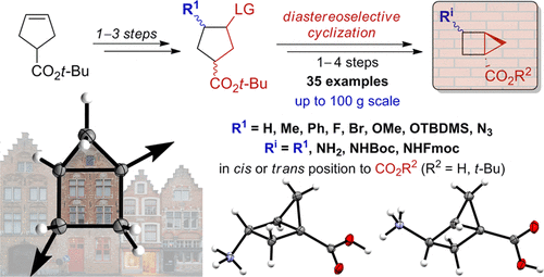 Building the Housane: Diastereoselective Synthesis and Characterization of Bicyclo[2.1.0]pentane Carboxylic Acids