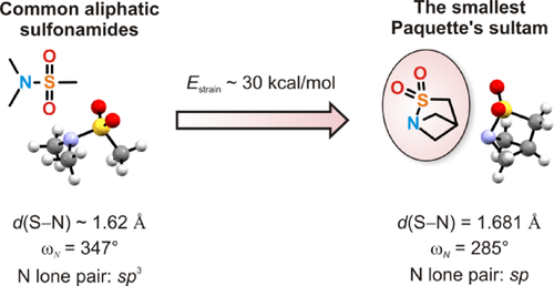 Twisting and Turning the Sulfonamide Bond: A Synthetic, Quantum Chemical, and Crystallographic Study