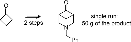 3-Benzyl-3-azabicyclo[3.1.1]heptan-6-one: a promising building block for medicinal chemistry