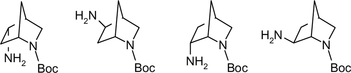 Improved synthesis of monoprotected 5- and 6-amino-2-azanorbornanes