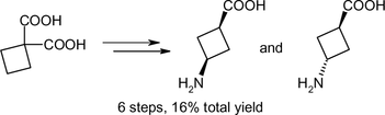 Expedient synthesis of cis- and trans-3-aminocyclobutanecarboxylic acids